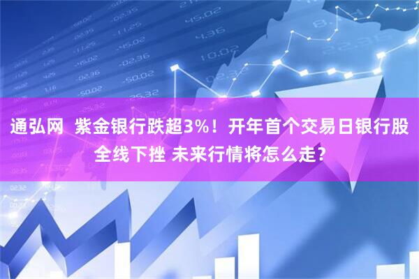 通弘网  紫金银行跌超3%！开年首个交易日银行股全线下挫 未来行情将怎么走？
