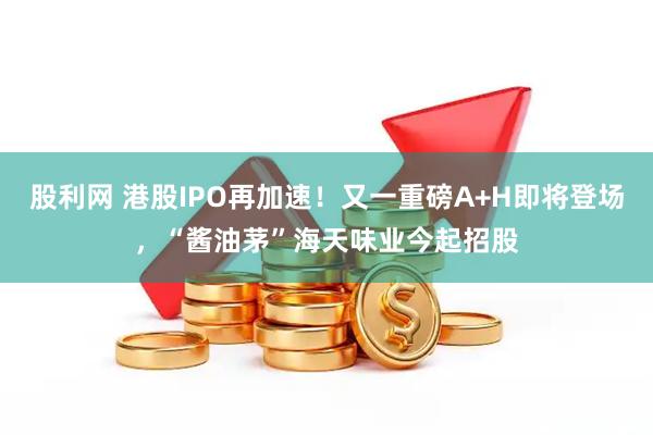股利网 港股IPO再加速！又一重磅A+H即将登场，“酱油茅”海天味业今起招股