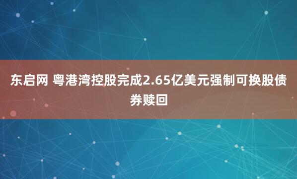 东启网 粤港湾控股完成2.65亿美元强制可换股债券赎回