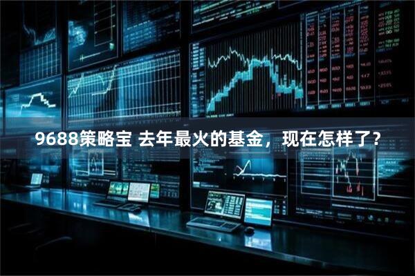 9688策略宝 去年最火的基金，现在怎样了？