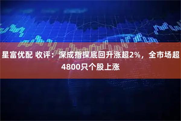 星富优配 收评：深成指探底回升涨超2%，全市场超4800只个股上涨