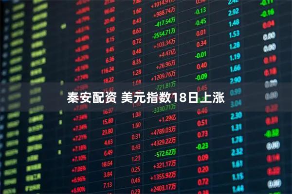 秦安配资 美元指数18日上涨