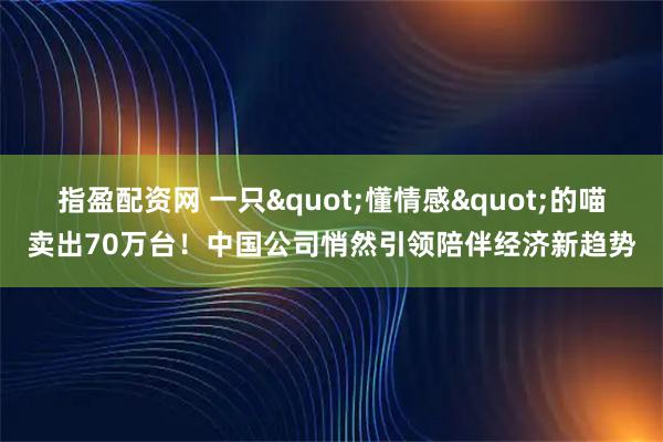 指盈配资网 一只"懂情感"的喵卖出70万台！中国公司悄然引领陪伴经济新趋势