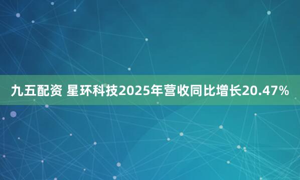 九五配资 星环科技2025年营收同比增长20.47%