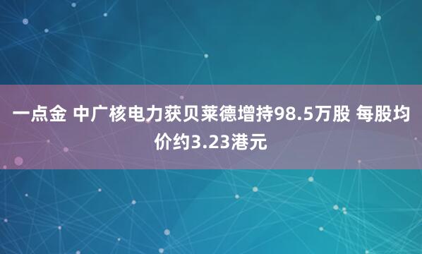 一点金 中广核电力获贝莱德增持98.5万股 每股均价约3.23港元